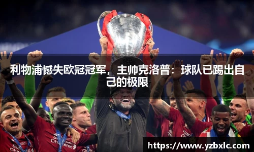 YY易游体育