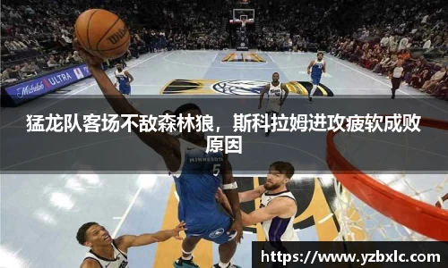 YY易游体育
