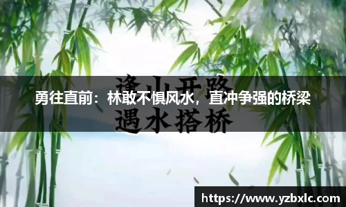 勇往直前：林敢不惧风水，直冲争强的桥梁