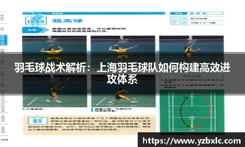 羽毛球战术解析：上海羽毛球队如何构建高效进攻体系
