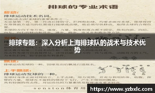 排球专题：深入分析上海排球队的战术与技术优势