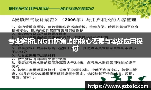 专业解析LNG盯防策略的核心要素与实战应用探讨