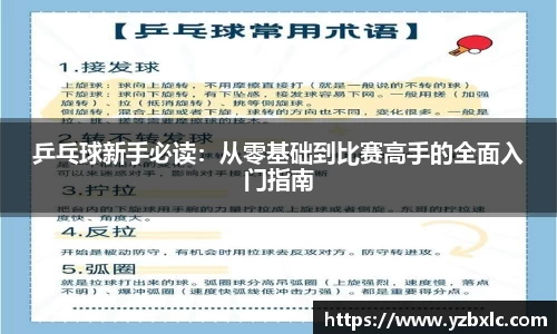 乒乓球新手必读：从零基础到比赛高手的全面入门指南