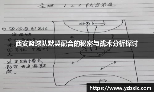 西安篮球队默契配合的秘密与战术分析探讨