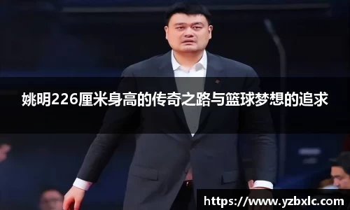 姚明226厘米身高的传奇之路与篮球梦想的追求
