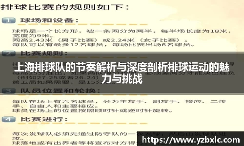 上海排球队的节奏解析与深度剖析排球运动的魅力与挑战