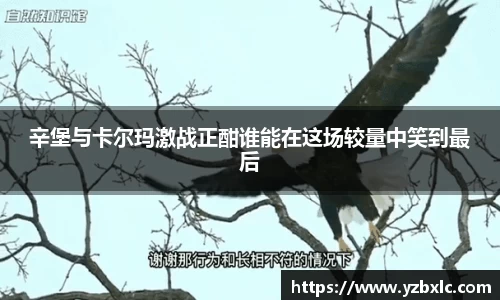 米乐M6官网