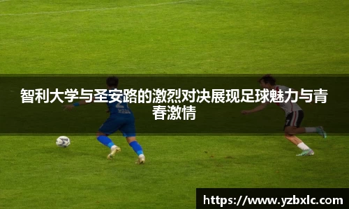 YY易游体育