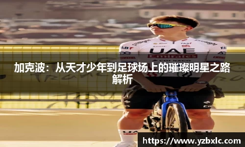 YY易游体育