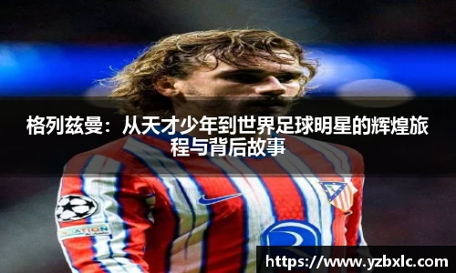 米乐M6官网