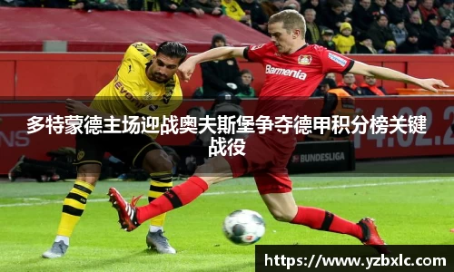 YY易游体育