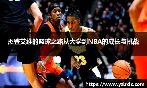 米乐M6官网