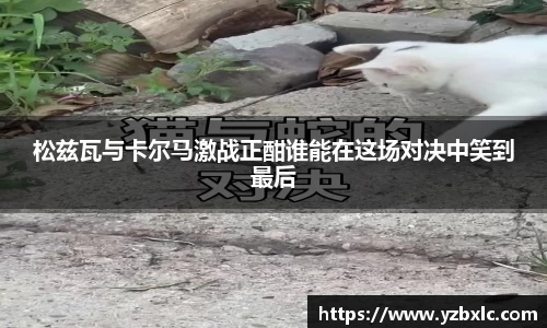 松兹瓦与卡尔马激战正酣谁能在这场对决中笑到最后
